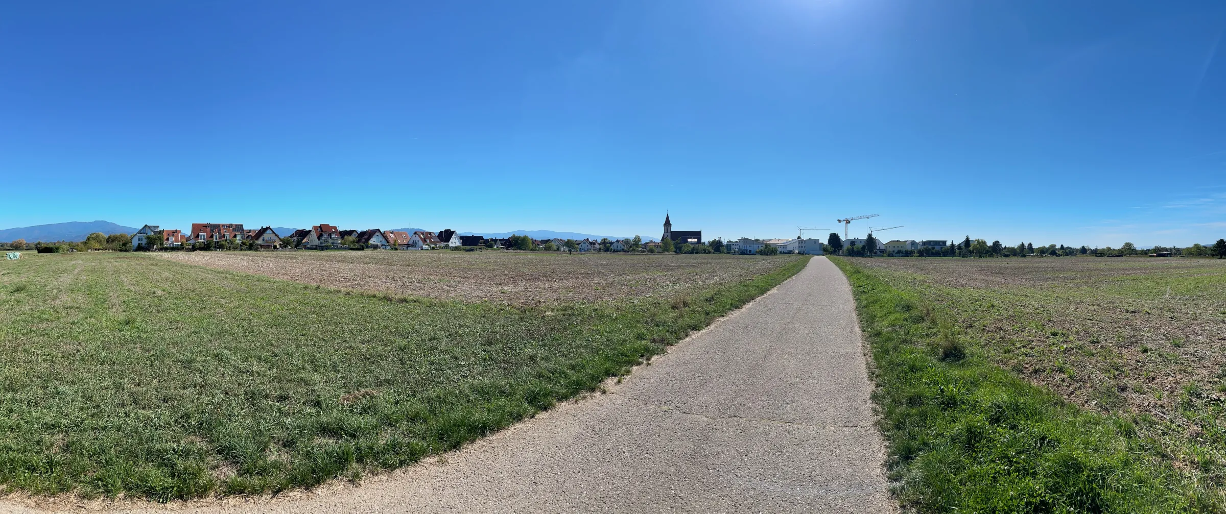 Blick über einen Feldweg auf Reute und den Schwarzwald